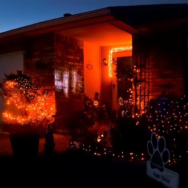 33FT 100 LED Halloween-lys i oransje med 8 moduser Warm Light