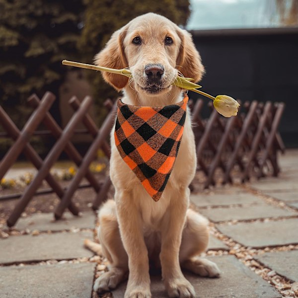 2st Höst Fyrkantigt Rutnät Sällskapsdjur Triangel Halsduk Hund Dregla Halsduk Thanksgiving Hund Bandana Orange Vävd Sällskapsdjur Halsduk