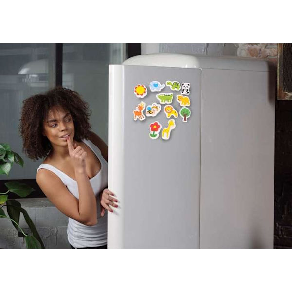 12-pak - Køleskabsmagneter / Magneter - Dyr multicolor