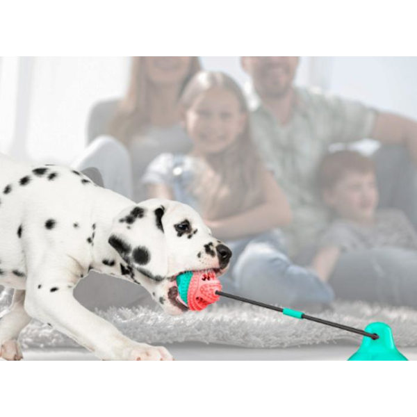 Multifunksjonell hundekatt sikker elastisk rengjøringstenner ball Modell W Blue Blue Model