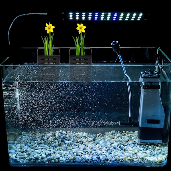 Akvarieplanteholder Hengende Vannplantepotte Med Hull Akvarieplantekopper Svart Black 2Pcs