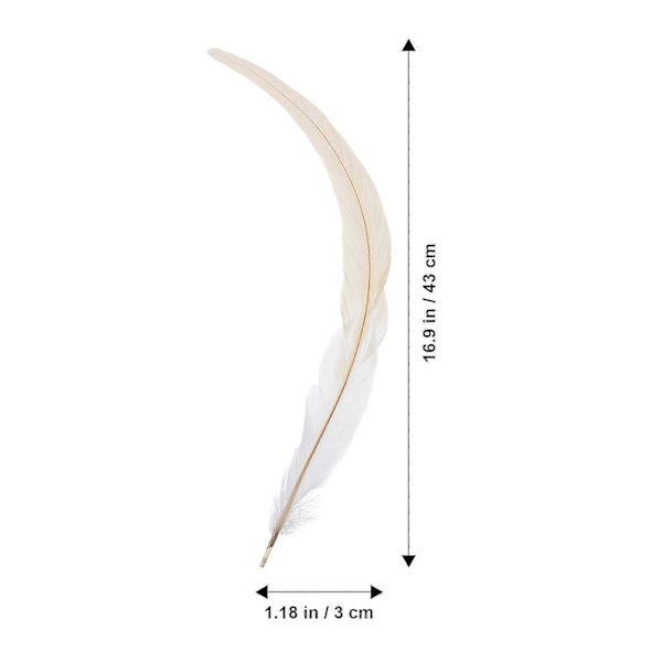 50 stk 33-40cm Naturlige Hanehalefjer til DIY Håndværk Hat Dekoration (Hvid)
