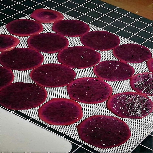 Dehydratorark til fødevaredehydrator, 10 stk. 29x37cm, silikoneark, frugtdehydratormåtter, silikone