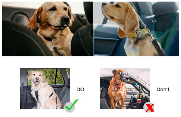 Justerbar sikkerhedssele til hunde, sort