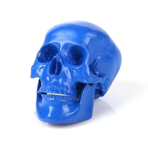 2-pak harpiksmalede kraniefigurer til Halloween barbordsdekoration (Klein blå)