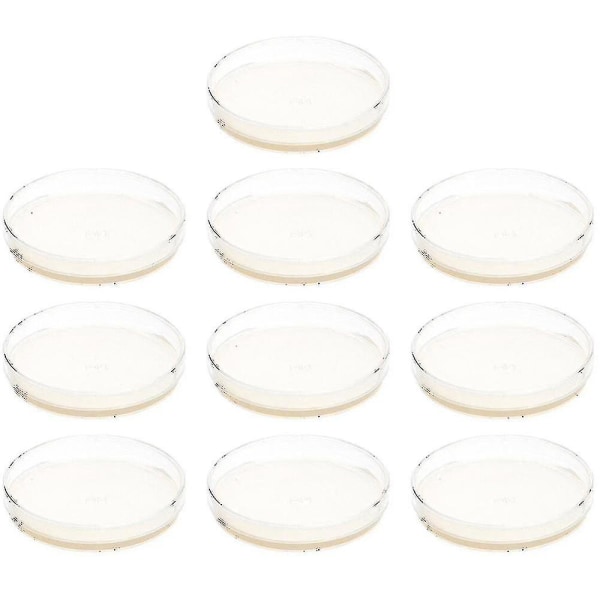10 stk ferdige agarplater petriskåler med agarvitenskapseksperimentutstyr