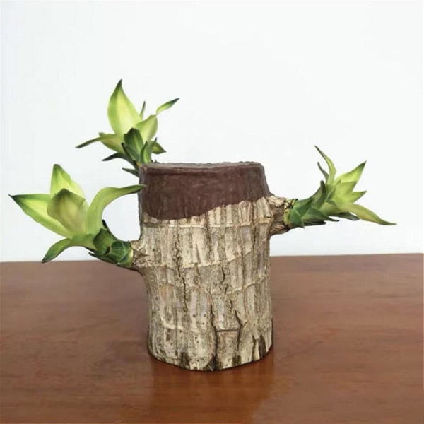 Groot Lucky Wood Hydroponic Green Moderne Dekorativ Plantepotte For Kontor Hjem