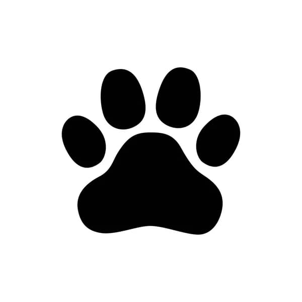 Hund Freedy 25cm - Vit