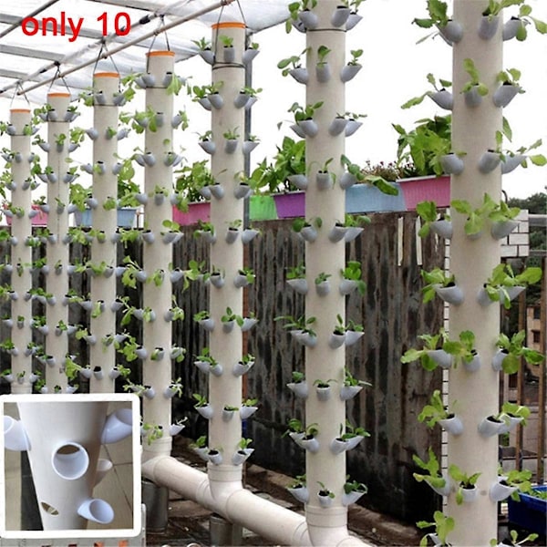 10 Set Hydroponiskt Jordfritt Odlingssystem DIY Hydroponisk Plantskola Trädgårdskit 12