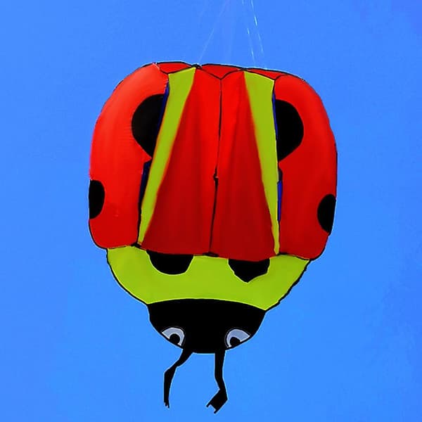 3D Blød Lang Hale Drage 3D Mariehøne Drage Baghave Spil Nem Flyvning For Begyndere