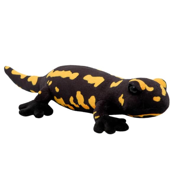 Salamander Plys All About Nature