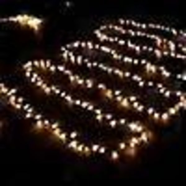 100M 600 LED Ljusslinga Karneval Bröllop Utomhus Inomhus Trädgårdsbelysning
