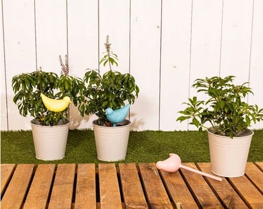 Vanddispenser til planter fuglevander 1 stk