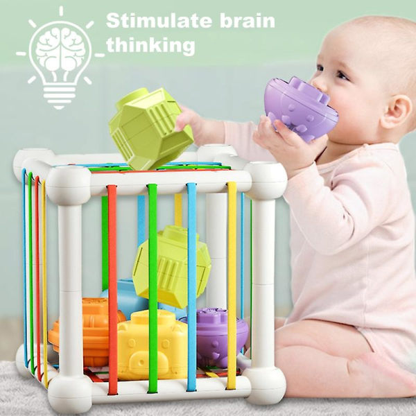 Regnbue Træning Legetøj Brudsikkert Mønster Matchende Sikre Materialer Intellektuel Udvikling Baby Legetøj Til Børn Kaesi