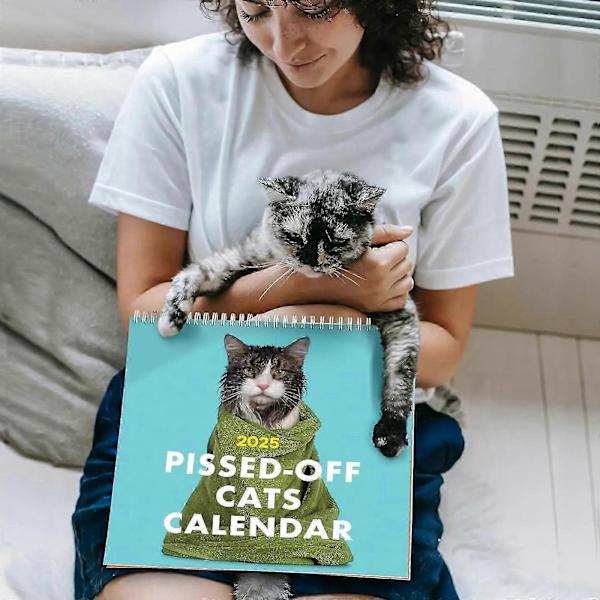 2025 Pissed-Off Cats -kalenteri Vihaisia ​​kissoja 2025 -kalenteri -3770290918312