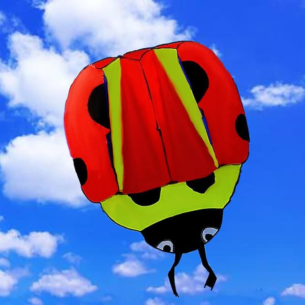 3D Blød Lang Hale Drage 3D Mariehøne Drage Baghave Spil Nem Flyvning For Begyndere