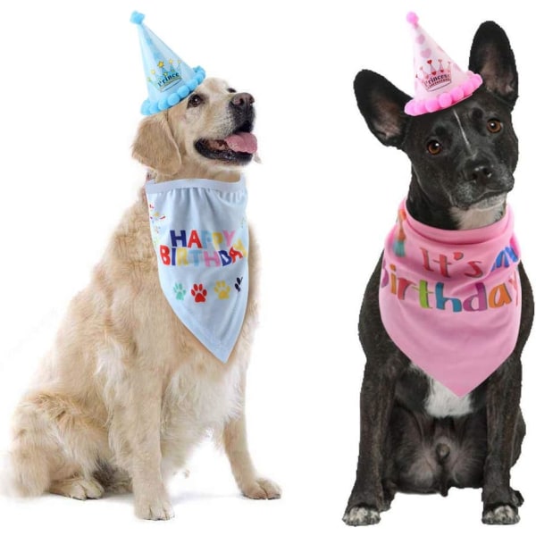 Fødselsdagssæt til hunde med bandana og festlig hat i pink