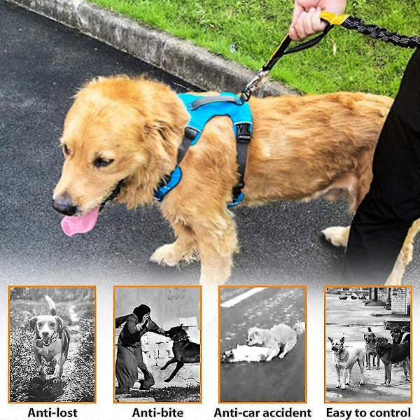 Håndfri hundebånd, hundejoggebånd med justerbart midjebelte, doble håndtak, reflekterende sømmer, ideell for håndfri jogging, gåturer og va