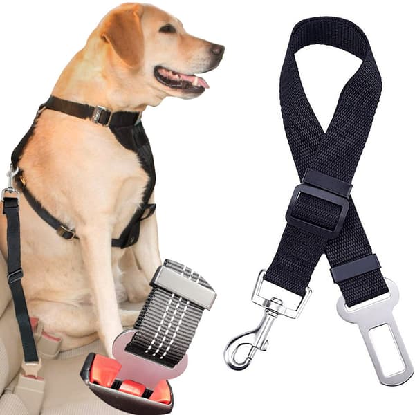 Sikkerhedssele, snor til bil, hund eller kat
