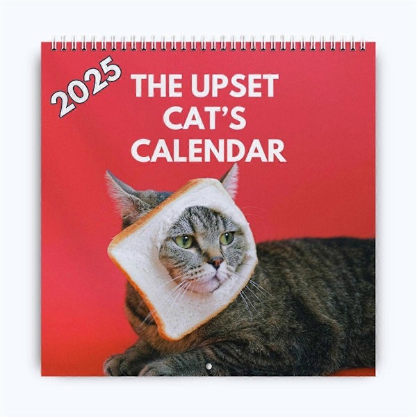 2025 Upprörda Kattkalendern - Ett Perfekt Roligt Sätt att Hålla Sig Organiserad 2025 Kattkalender