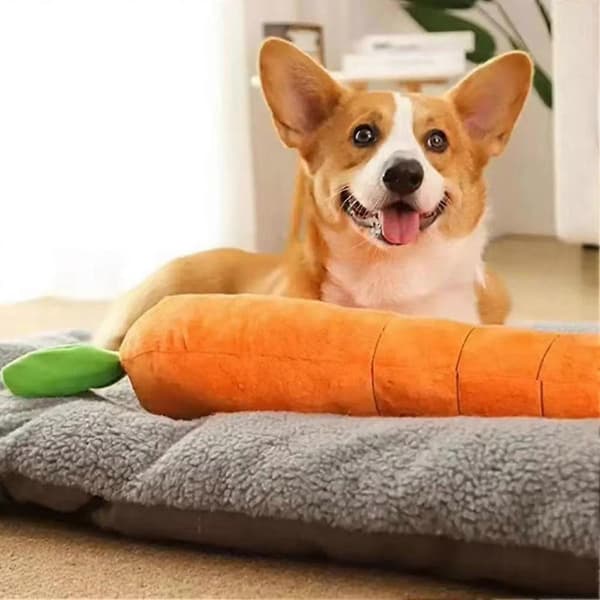 The Mellow Dog Beroligende Gulrotleke, Robust Plysj Multi-pipelyd Hundeleke