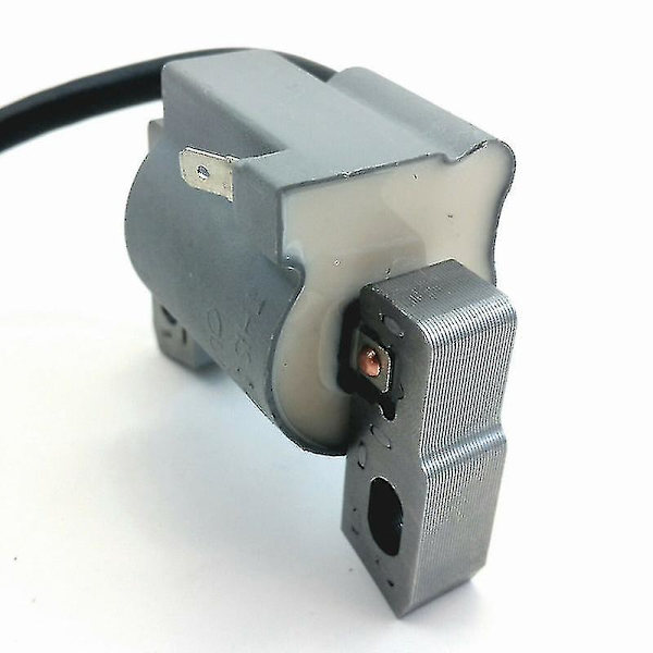 Tændspole Briggs & Stratton 796500 Briggs & Stratton Højspændingspakke Tændspole