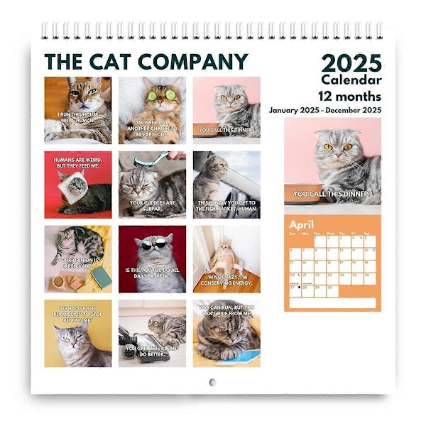 2025 Upprörda Kattkalendern - Ett Perfekt Roligt Sätt att Hålla Sig Organiserad 2025 Kattkalender