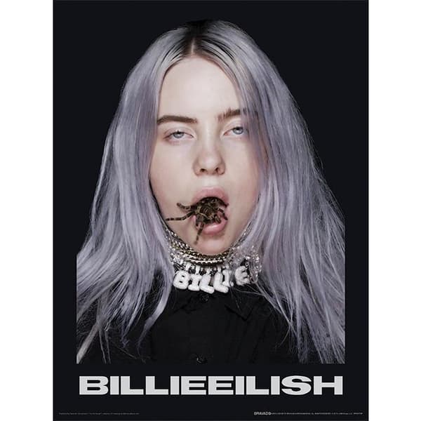 Billie Eilish Edderkopp Plakat 40cm x 30cm Svart