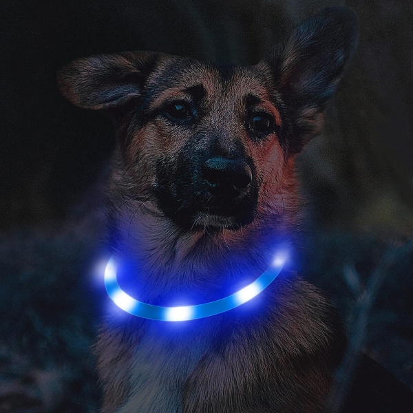 LED-upplyst hundhalsband, lysande hundhalsband, nattsäkerhet, USA