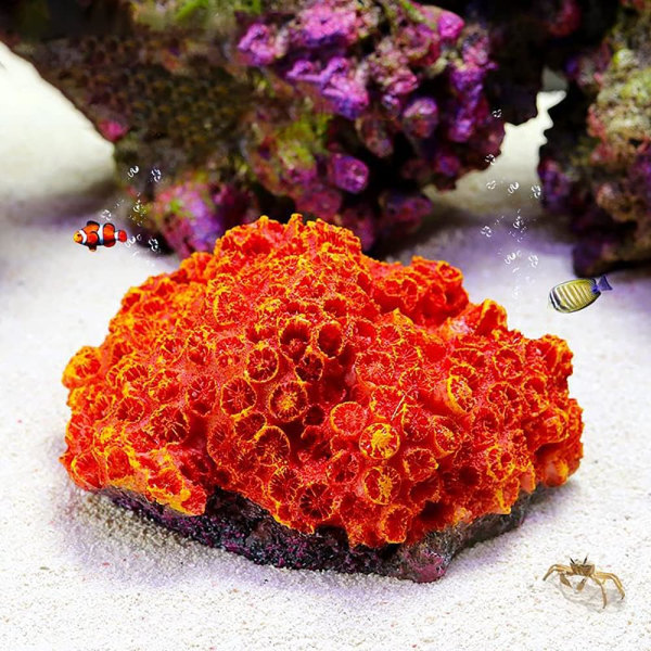 1 bit Polymer Coral, Aquarium Coral 5,11" x 3,93" x 2,75"