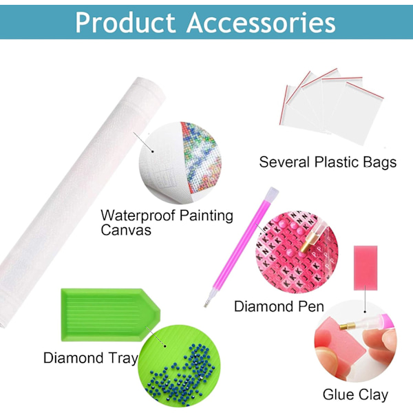 DIY Vuxen Ekorre Diamantmålning Kit, Diamantkonst Djur Rund