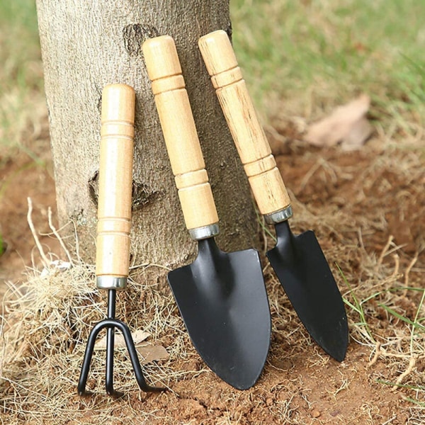 3 Stk Mini Haveredskaber til Sukkulente Planter Træskaft Inkl