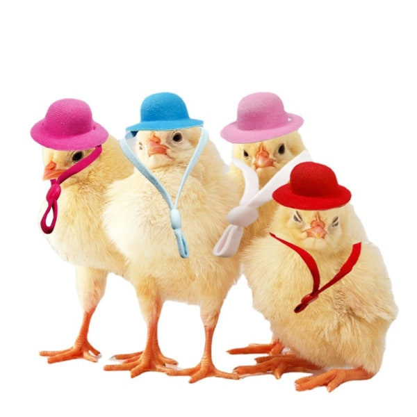 4 st Fashion Chicken Hats för Höns - Små Husdjur Roliga Kycklingtillbehör Justerbar Elastisk Rem Fjäderhatt för Tupp Anka Papegoja Fjäderfä Stylish Show Costum