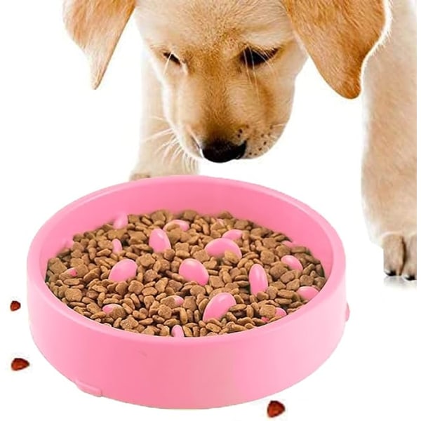 Slow Feeding Bowl for Dogs, Slow Feeding Non-Slip Design Fun Interactive Fe