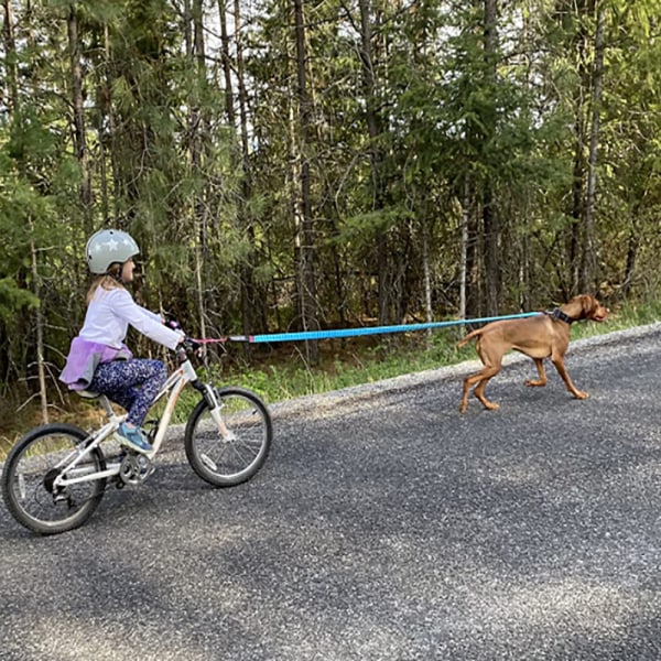 Sykkeltau belte stropp, barnesykkel trekktau, terrengsykkel