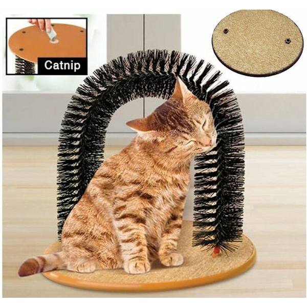 Stor klösbåge-massage för katt