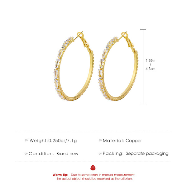 Stora Hoops Diamantrhinestone Örhängen Tunna Dangle Silver E