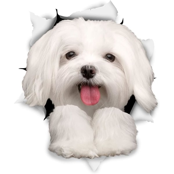 3D Dog Stickers - Pakke med 2 - Søte Maltesiske Dog Stickers for Wall,