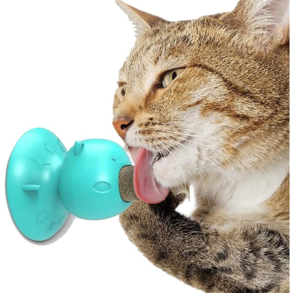 Pet Cats Tandbørste Legetøj Funny Shape Catnip Flavor Silikone Molar