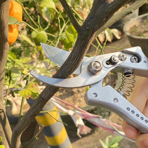 Straight blade pruner: pruner for twigs and woody branches, max.