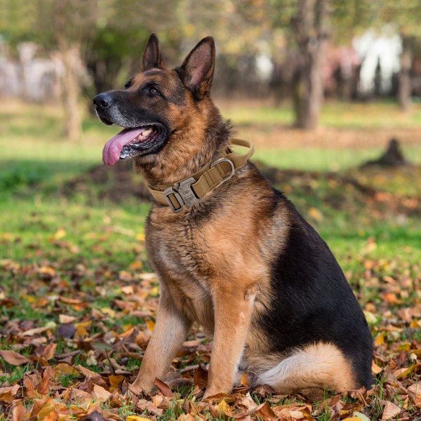 Taktisk hundkrage -, Justerbart nylonfodrat hundhalsband för medelstora hundar