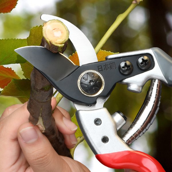 Professional branch and garden cutting