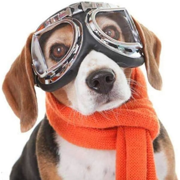 Hunde Goggles Kjæledyr Goggles Briller For Katter Øyebeskyttelse Briller P