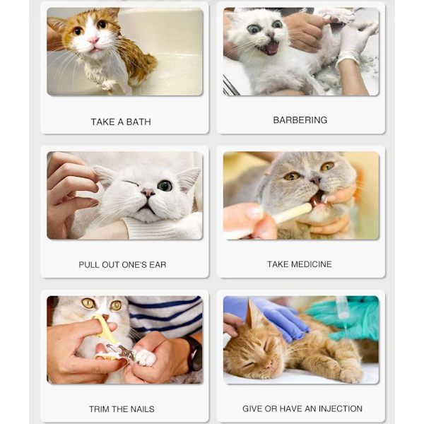 4 st silikon katt skor husdjur klo skyddande lock anti-scratch F