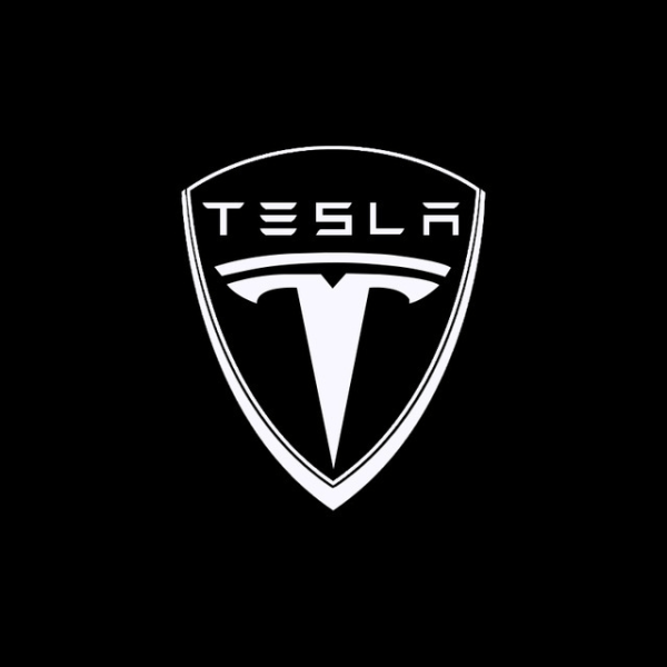 2 st Passar för Tesla Välkomstljus Dedikerad till TESLA MODEL3 X Mode