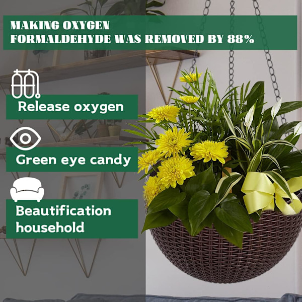 Hängande blomkrukor Hängande växtkorg Inomhus Utomhus Hängande Planter för växter Blommor Örter