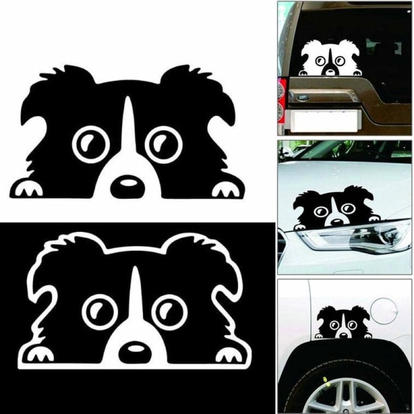 Bilsticker Ny Border Collie Hund Bilsticker Personlighet Reflekterende