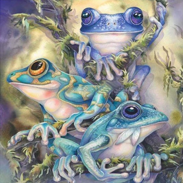 5D diamond painting efter nummer Kit för vuxna Tricolor Frog, Anim