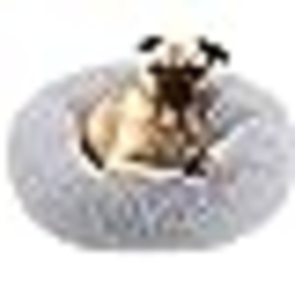 Katter och små hundar Liggunderlag för sällskapsdjur för sovande (60 cm, lätt gr