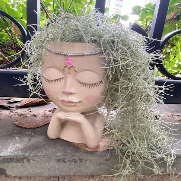 Ansiktsblomkruka Huvudkruka Succulent Kruka Kruka Kaktus Kruka